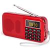 PRUNUS J-725 Radio Portatile Digitale FM, Lettore Musicale MP3, Supporto USB/AUX/TF Card, Radioline Portatili con Torcia di Emergenza, Funzioni di Orologio e di Allarme.