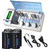 CITYORK Caricabatterie universale con display LCD con funzione di scarica per batterie AA, AAA, C, D, 9V NI-MH con 4 batteria NI-MH C da 5000 mAh