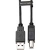 Keple Cavo della stampante Cavo della stampante Extra lungo 3 metri Compatibile con Canon Pixma MG3051 / MG3650 / MG4250 / MG4250 / MG5750 / MG5751 / MG6850 / MG7750 / MX475 | USB B Cavo Scanner copiatrice