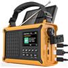 Roxicosly Radio solare, radio a manovella, 12000 mAh DAB/DAB+/FM, radio di emergenza con pannello solare da 8500 mm² e manovella manuale da 650 mA. Radio Dynamo con Bluetooth, come torcia e caricabatterie, USB