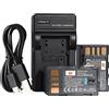 DSTE BN-VF823 Li-ion Batteria (2-Pacco) e Caricabatterie USB Compatibile per JVC GZ-MG230 GZ-MG255 GZ-MG275 GZ-MG330 GZ-MG335 GZ-MG340 GZ-MG360 GZ-MG365 GZ-MG430 GZ-MG435