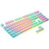Ranked Pudding Tasti PBT | 112 Layout ANSI US e ISO traslucido a Double Shot | Profilo OEM per Tastiera da Gioco Meccanica RGB (Miami Vice)