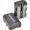 DSTE DE Batteria di ricambio NP-FM50 NP-FM55H DSTE, compatibile con Sony NP-FM30 NP-FM51 CCD-TR108, CCD-TR208, CCD-TRV116, CCD-TRV118, CCD-TRV126, CCD-TRV128, CCD-TRV138, Npf