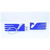 Shop and Solve FOOTBALL USB - Chiavetta USB Drive 3.0 & Portachiavi con forma Aquila stilizzata da 64 GB unità di memoria flash Penna Disk Pen Drive alta velocità idea regalo calcio per tifosi lazio