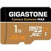 Gigastone [5 Anni Recupero Dati 0] GIGASTONE 1TB Scheda di Memoria, Camera Extreme MAX, Velocit? fino 180/150MB/s, DJI, Insta360, Dashcam, 4K Video, UHS-I A2 V30 U3 Micro SDXC con Adattatore