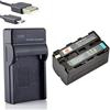 DSTE NP-F750 Li-Ion Batteria e Caricabatterie USB Compatibile per Sony CCD-SC5 CCD-TRV80PK DCR-TRV820 CCD-SC55 CCD-TRV81 CCD-SC65 CCD-TRV815 DCR-TRV9 CCD-TR3 CCD-TRV82 DCR-TRV900 CCD-TR3000