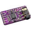 iHaospace Interfaccia I2S PCM5102 DAC Decoder GY-PCM5102 I2S Player Modulo compatibile con Arduino Raspberry Pi