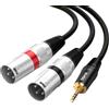 Tisino Cavo 3,5 mm a XLR, 3.5mm a Doppio XLR Maschio Stereo Cavo Breakout Patch - 2M