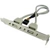 Bolwins M30S - Adattatore per scheda madre USB 2.0, 9 poli su cavo tipo A, 30 cm, adattatore per PC con doppio tipo A femmina