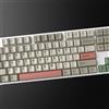 SOLIDEE Set di Keycaps PBT Profilo Cherry 169 Tasti, Keycaps Personalizzati, Keycaps PBT Resistenti allo Sbiadimento per Tastiere 60% 65% 75% TKL 100%, Compatibili con Switch MX (New 9009)