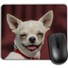 Yeuss Divertente Cane Memes Tappetino Per Mouse Del Mouse Rettangolare Antiscivolo, Testa Di Chihuahua Cane Ritratto A Pelo Corto Sfondo Rosso Tappetini Per Mouse Da Gioco