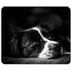 Destination Vinyl Ltd Border Collie Tappetino mouse pad - Pecora Puppy Dog Farm Farmer regalo Computer # 8639