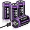 Mspalocell USB-C batterie litio D 8800mAh LR20 batteria 1,5V carica rapida batterie tipo-C batteria ricaricabile con cavo ricarica, bassa autoscarica, con luce ricarica, 1500+ ciclo, 4 pezzi