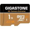 Gigastone 【Recupero dati 0 per 5 anni】GIGASTONE 1TB Scheda di Memoria, Camera Extreme, Velocità fino a 160/130 MB/s, per Gopro, DJI, Insta360, 4K Video, UHS-I U3 A2 V30 C10 Micro SDXC con Adattatore