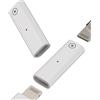 zoyuzan Adattatore per Apple Pencil 1° Generation Chargeur(set di 2) Lightning femmina a Lightning Femmina Convertitore di ricarica certificato MFI 1 generazione Pen Accessori per iPad Pro Ipencil Stylus