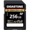GIGASTONE A2 V30 Scheda di Memoria SDXC 256 GB, 4K Camera Extreme, Velocità 160 MB/s per Fotocamera Canon Nikon Sony Panasonic, U3 UHS-I Classe 10 per 4K UHD Video, con 1 Mini Custodia