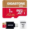 Gigastone [5 Anni Recupero Dati 0] GIGASTONE 1 TB Scheda MicroSDXC con Lettore di Scheda USB 3.2 Tipo C, Camera Pro MAX, Scheda di Memoria A2 V30, 4K UHD Video, Fino a 170/140 MB/s con Adattatore