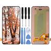 ELLENNE Display LCD Compatibile per Samsung Galaxy A40 2019 SM A405F A405FN Schermo Touch Screen Vetro DIGITIZER con Kit CACCIAVITI