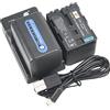 DSTE DE DSTE (confezione da 2) batteria agli ioni di litio e caricabatterie micro USB, compatibile con Sony NP-FM70 NP-QM71 NP-QM71D DCR-PC115 DCR-PC120 DCR-PC330 DCR-TRV25 DCR-TRV27 DCR-TRV30 DCR-TRV33
