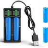 NAVESO 2 batterie ricaricabili da 3,7 V, 2200 mAh, batteria agli ioni di litio da 3,7 V, con caricatore, batteria agli ioni di litio per torcia, piccola ventola, campanello, mini ventola, lampada