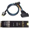 chenyang Adattatore PCIe 4.0 M.2 NGFF a Slimline SAS SFF-8654 2280MM con cavo SFF-8654 a SFF-8639 per SSD U.2 SFF-8639 NVME PCIe
