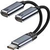 Leloco Splitter USB C 1 a 2, tipo C maschio a 2 cavi USB C, adattatore per cuffie a Y e adattatore di ricarica rapida da 100 W, per iPhone 16/Pro/Max, Samsung S24/S23, ecc. grigio