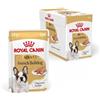 ROYAL CANIN French Bulldog Adult Loaf | 12 x 85 g | Alimento completo per Bulldog Francesi dai 12 mesi