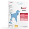 DYNAMOPET | Integratore Articolazioni per Cane Dìnamic Medium - Alimento Complementare per il Benessere Articolare e Mobilità dei Cani con Glucosamina Condroitina Artiglio del Diavolo