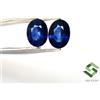Sbi Gems Coppia Zaffiri Naturali Blu Ovale 8x6 mm 3,04 CTS Pietre Corte Lisce