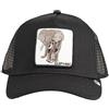 Goorin Bros. The Elephant