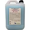 ECOBOLLE Ammorbidente Mio Amor Plus, Super Profumato Concentrato (10KG)
