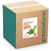 GREENATURAL BAG 10 Kg Lavastoviglie Liquido MENTA & EUCALIPTO - ecobio