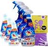 FEI FAN Set Smacchio Tutto: Efficace su Tutte le Macchie, Usare Prima di Lavare, Flacone Formula Concentrata C/Spazzolina 250ml + Flacone Spray 500ml + OMAGGIO 1 Panno in Lattice (2x 250ml + 2x 500ml + 1 PL)