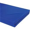 RESINGOMM Materasso allenamento ginnastica Resingomm di caduta 30kg al metro cubo, antistrappo idrorepellente, outdoor indoor, propedeutico capovolta (Blu, 120x200x10)