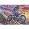 RTTASVLZX Puzzle Da 300 Pezzi Per Adulti Off-Road Motorcycle 300 PCS 40x28cm Antistress Riduzione Dell'Ansia Perfetto Per Impiegati D'Ufficio Rilassamento Quotidiano Regalo