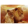 KEDDJI Leone e leonessa africani, Puzzle 1000 pezzi Puzzle in legno Giocattolo Gioco per famiglie Decorazione da parete per adulti Adolescenti