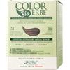 Colorerbe Multipack 6x TINTURA COLOR ERBE BIO CASTANO CHIARO CENERE (5.1)-Colorazione Permanente in Gel-Senza Ammoniaca,Resorcina,Parabeni-Copertura Ottimale Capelli Bianchi-Nutre-Protegge-Illumina-MadeInItaly