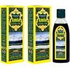 Vaadi Herbals Value Pack di Amla Cool olio con Brahmi Amla Extract, 200 ml x 2