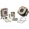 Malossi Kit Cilindro Malossi Sport 70cc per Aprilia, Amico (1991-1992) (dal 1993), GL, Sport, SR 50 (fino al 1994), MBK, Booster, Slider, Yamaha, Bws, Stunt, Target, Zuma