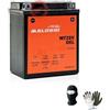 MOTO SPORT MONDO COMPATIBILE CON HONDA CMX REBEL 500 dal 2017 al 2022 BATTERIA IN GEL MALOSSI MTZ8V GIA' PRONTA ALL'USO ATTIVA BATTERIE 7 AH AMPERE 12 VOLT PER MOTO SCOOTER