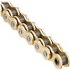 D.I.D DID Catena 520ERVT con 120 Maglie Oro