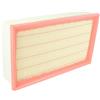 vhbw filtro aria sostituisce VAG 5Q0 129 620 B, 5Q0 129 620 D, 5Q0129620B, 5Q0129620D per auto - Filtro motore