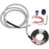 VIPIH PIATTO ACCENSIONE PER MOTO GUZZI V35 350 V50 500 1977-1987 V65 1982-1992