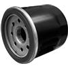 Generic Filtro dell'olio compatibile con Triumph Motorcycle 1200 Speed Triple RS 21
