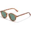 D.Franklin - Occhiali da sole unisex con lenti a protezione UV - Modello roller