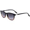 SAFILO Occhiali da Sole BURATTO 03/S Havana black 50/19/145 Uomo