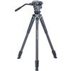 Vanguard Alta Pro 2V 263CVP - Treppiede in fibra di carbonio con testa video Alta PH-123V