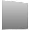 ScreenTech Pellicola polarizzante 100 x 100 x 0,4 mm, senza colla, tipo ST-38-40