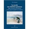 LIBRO VERITÀ Le nuvole non chiedono permesso. Dalla Patagonia all'Alaska. Cento giorni a piedi e in corriera
