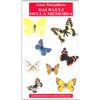 Biblioteca dell'Immagine Dai bauli della memoria